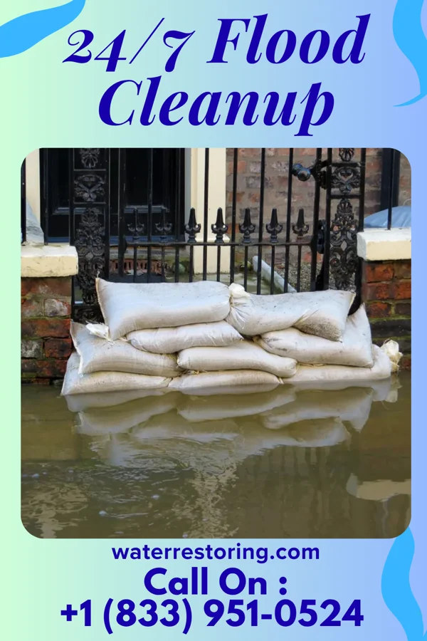 24/7 Flood Cleanup in Sauget, IL