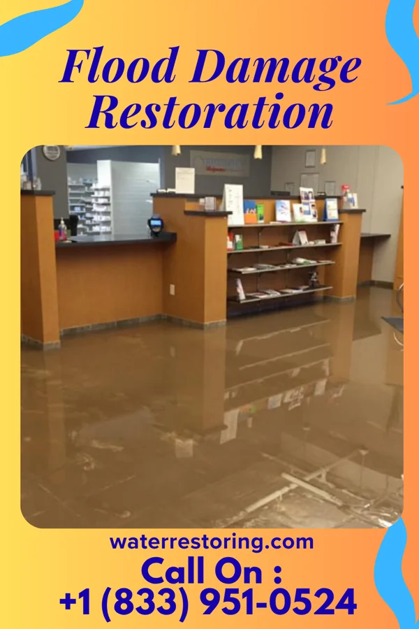 Flood Damage Restoration in Sauget, IL