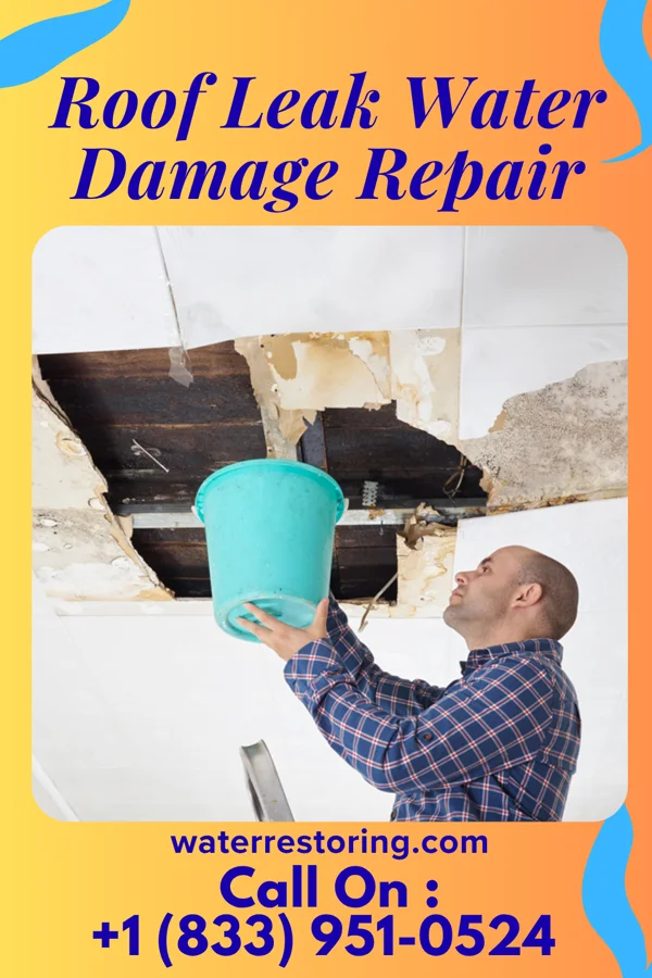 Roof Leak Water Damage Repair in Sauget, IL