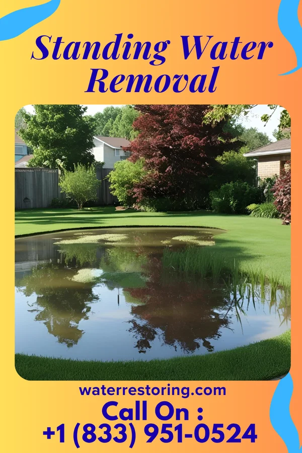 Standing Water Removal in Sauget, IL